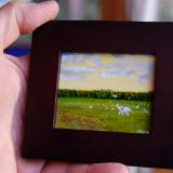 White Elephant Playing in a Field With Snow Geese