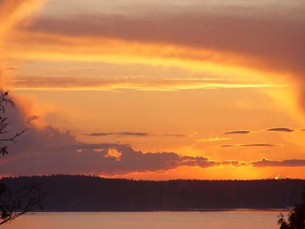 Island living thoughts